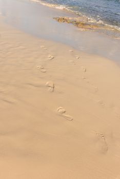 Human footsteps in the sand leading into and covered by the sea or ocean.