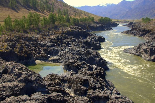 The rocky bank of the mountain river Katun. Altai, Siberia, Russia.