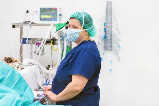 Veterinarian doctor portrait in operating room. Anesthesia monitoring in the background