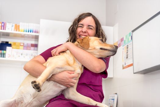 Doctor at the veterinary clinic hugging a beautiful dog