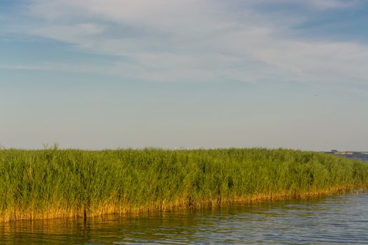 National Park Vorpommersche Boddenlandschaft on Fischland at the Baltic resort Ahrenshoop in Germany