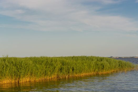 National Park Vorpommersche Boddenlandschaft on Fischland at the Baltic resort Ahrenshoop in Germany