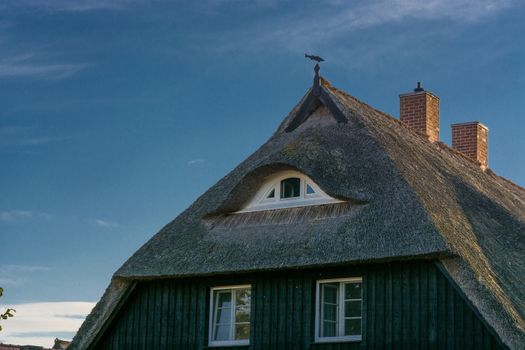 Houses on the Fischland-Darß with a thatched roof