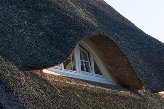 Houses on the Fischland-Darß with a thatched roof