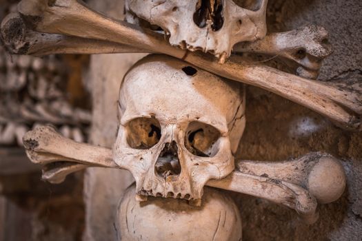 Skulls and bones on a wall, scary concept