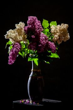 White and purple branches of lilac in vase on black background. Spring branch of blooming lilac on the table with black background. Fallen lilac flowers on the table.