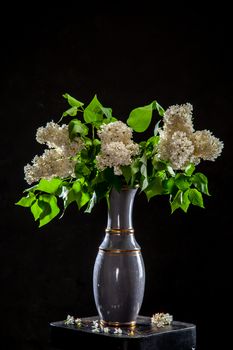 White branches of lilac in vase on black background. Spring branch of blooming lilac on the table with black background. Fallen lilac flowers on the table.