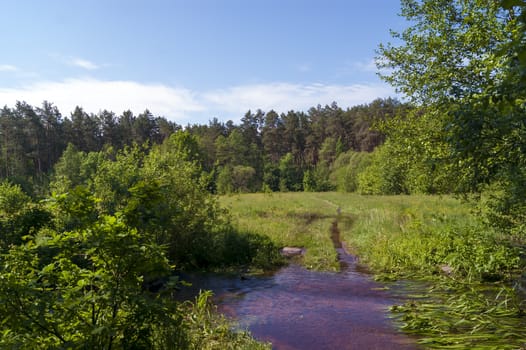 Glade, forest, water and blue sky with clouds