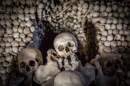 Human skulls and bones Gothic vault mass grave.