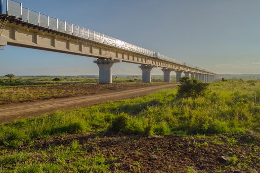 View of the viaduct of the Nairobi railroad to mombassa in the savannah of Nairobi Park in central Kenya