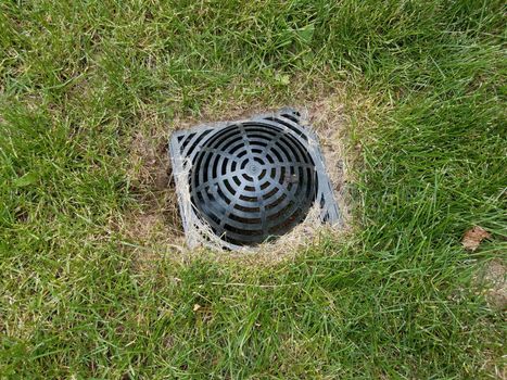 black plastic drain grate in green grass or lawn