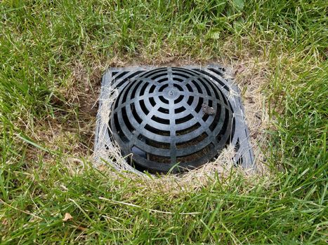 black plastic drain grate in green grass or lawn