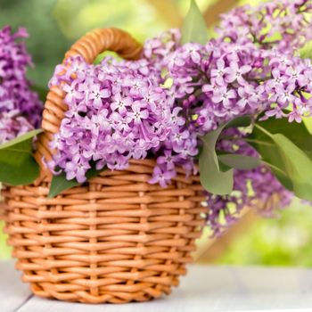 Basket with a bouquet of lilac flowers on a white wooden table in the summerhouse in the garden.