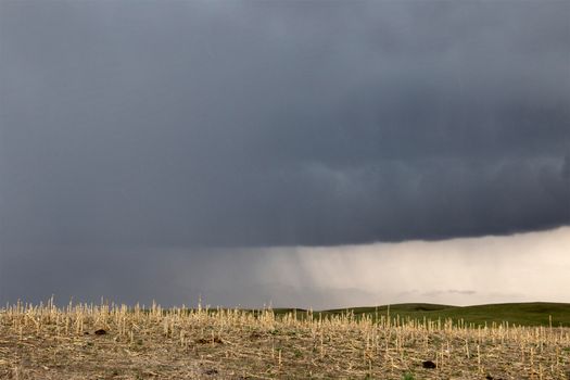 Prairie Storm Clouds in Saskatchewan Canada Rural