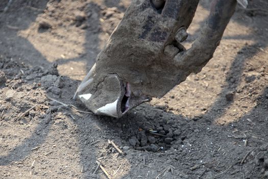 Seeding in Saskatchewan drought conditions Agriculture Canada