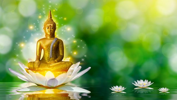 Buddha statue water lotus Buddha standing on lotus flower on orange background