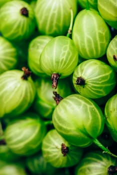 Background of Ripe and Fresh Gooseberry. Selective Focus. Vertical Orientation.