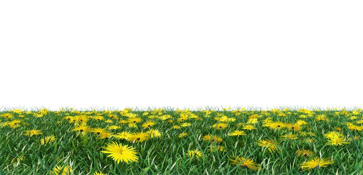 Grass and flowers isolated background. 3D illustration