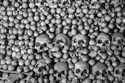 Human skulls and bones Gothic vault mass grave.