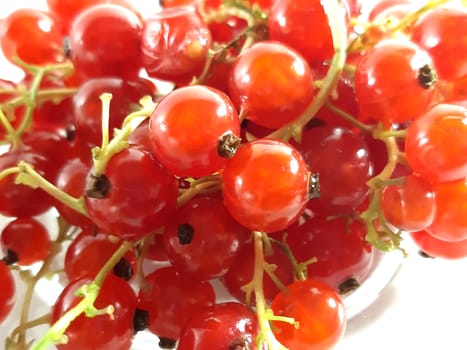 Red ripe currant. Photo of useful berries. Vegetarian food. Delicious and healthy dessert, vitamins.