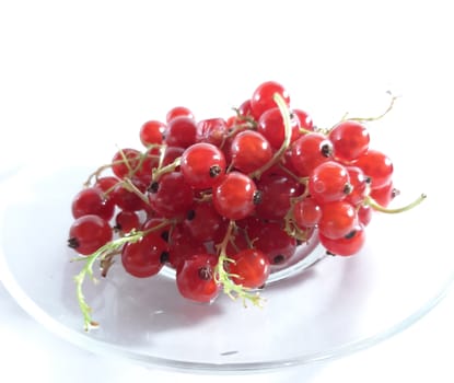 Red ripe currant. Photo of useful berries. Vegetarian food. Delicious and healthy dessert, vitamins.