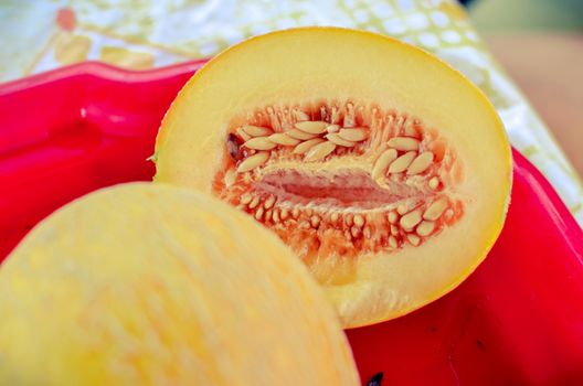 Cut ripe melons on red tray on the table close-up