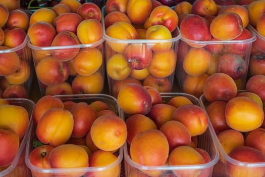 A lot of fresh ripe Apricot in basket for sell in the street shop.