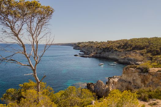 Rocky coast on Majorca Spain Mediterranean Sea. rocky coastline on Mallorca near Cala Vinyes, Balearic Islands