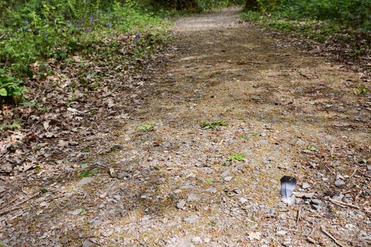 Wood pigeon feather lies on a wide stony path leading through woodland - with copy space