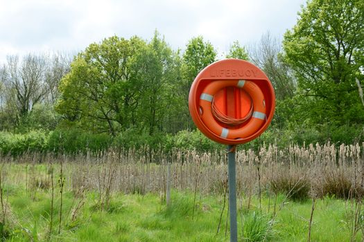 Bright orange lifebuoy on a pole near a deep pond filled with bulrushes. Lush green trees stand beyond the water.