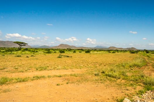 View of the trails and savannah of Samburu Park in central Kenya