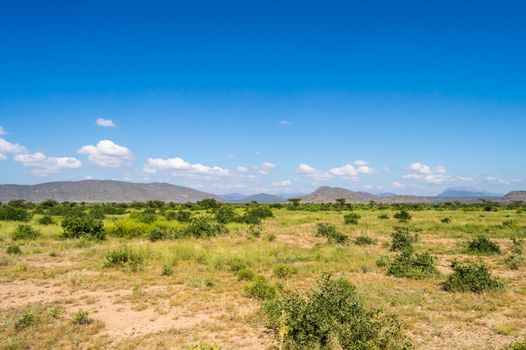 View of the trails and savannah of Samburu Park in central Kenya