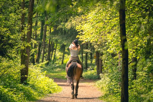Beautiful woman riding a horse in the forrest, sunny day