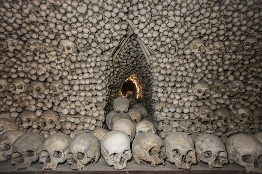 Human skulls and bones Gothic vault mass grave.