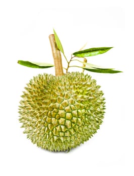 durian fruit and green leaves isolated on white background.
