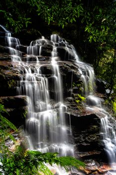 Sylvia Falls is an impressive cascade of water in the gully of the Valley of the Waters at Wentworth Falls, a brief break in the rain and some brighter light into the gullay made the water and colour pop.