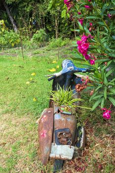 An old abandoned painted motorcycle in a garden at Corfu island, Greece.