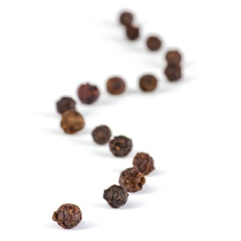 Dryed Black Pepper isolated on white background. Soft Focus view.