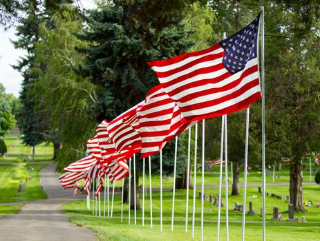 row of us flags