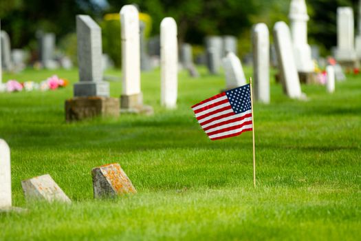 Flag waiving in the cemetery during memorial day