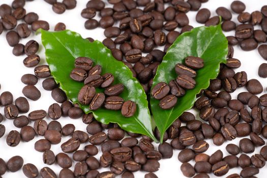 roasted coffee bean with leave isolated on white background