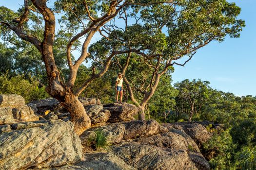 A woman stands under large gum trees growing on the cliff edge of the mountain gully. She is looking out to scenic views of Blue Mountains in late afternoon light.