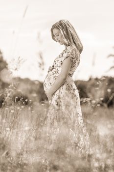Portrait of beautiful pregnant woman in white summer dress relaxing in meadow full of yellow blooming flovers. Concept of healthy maternity care. Black and white, sepia toned image.