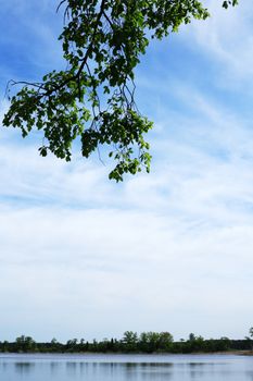 Nice big branch with green leaves against clouds above lake