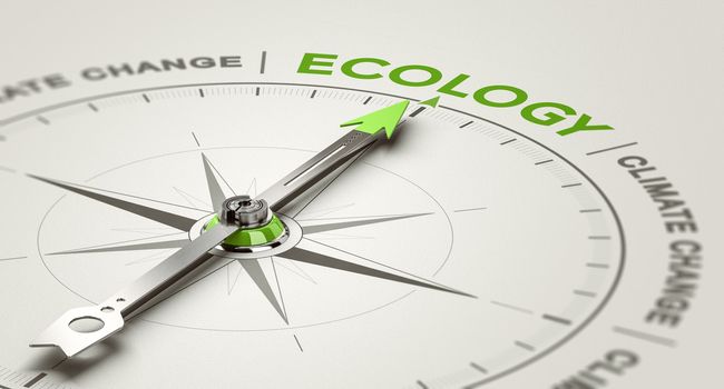 3D illustration of a conceptual compass with needle pointing the word ecology. Environmental responsibility concept.