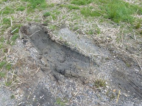 tire track in mud or dirt with straw and grass or lawn