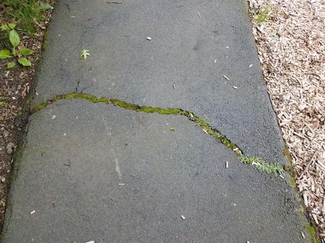 black asphalt trail or path with cracks and grass and wood chips