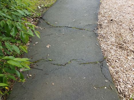 black asphalt trail or path with cracks and grass and wood chips