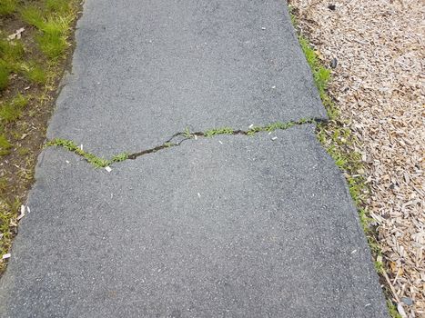 black asphalt trail or path with cracks and grass and wood chips