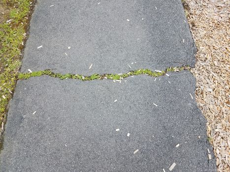 black asphalt trail or path with cracks and grass and wood chips